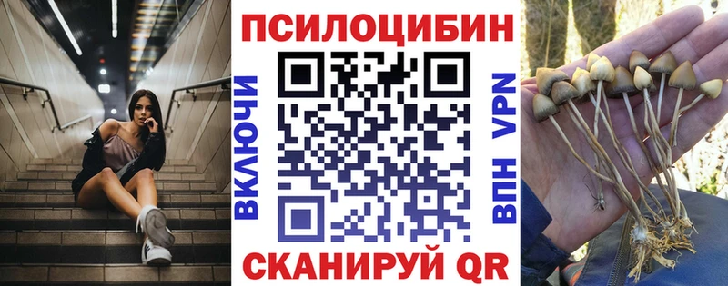Галлюциногенные грибы Cubensis  Купить закладки  Сургут 