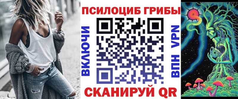 Псилоцибиновые грибы GOLDEN TEACHER Сургут